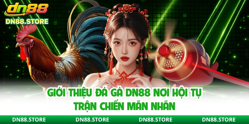 Giới thiệu đá gà DN88 nơi hội tụ trận chiến mãn nhãn 