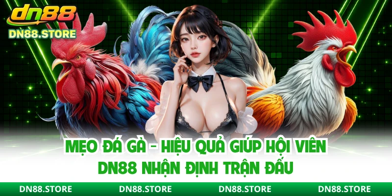 Mẹo Đá Gà - Hiệu Quả Giúp Hội Viên DN88 Nhận Định Trận Đấu 