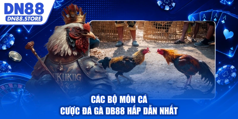 Các bộ môn cá cược đá gà DB88 hấp dẫn nhất